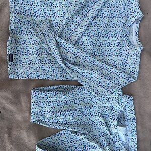 Patagonia Capilene Long Underwear